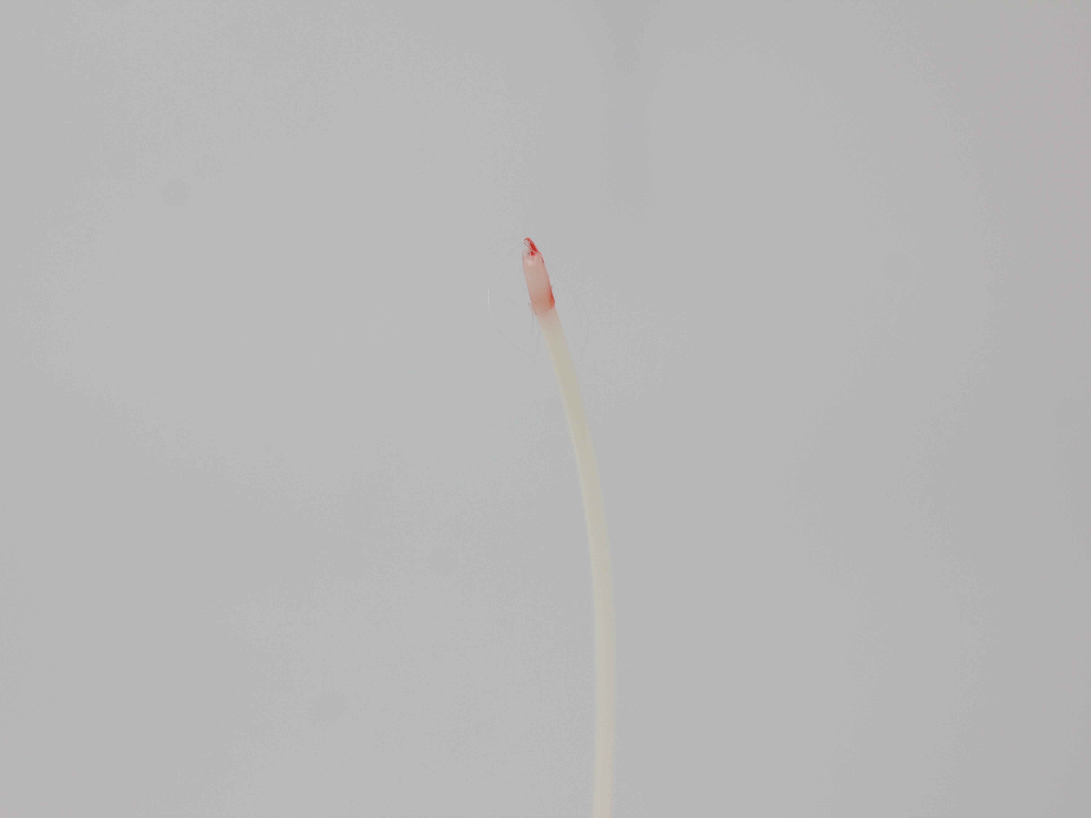 Cold pull filament tip showing nozzle cavity shape with visible debris and contaminants